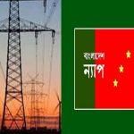বিদ্যুতের মুল্য বৃদ্ধির প্রক্রিয়া বন্ধ করুন : বাংলাদেশ ন্যাপ