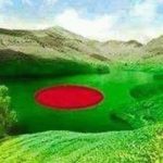 ড. মহসিন আলী এর লেখা-লাল সূর্যের বাংলাদেশ