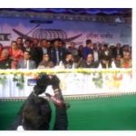 টাকা বা ভয় দেখিয়ে রাজনীতি হয় না: আনোয়ার হোসেন মঞ্জু 