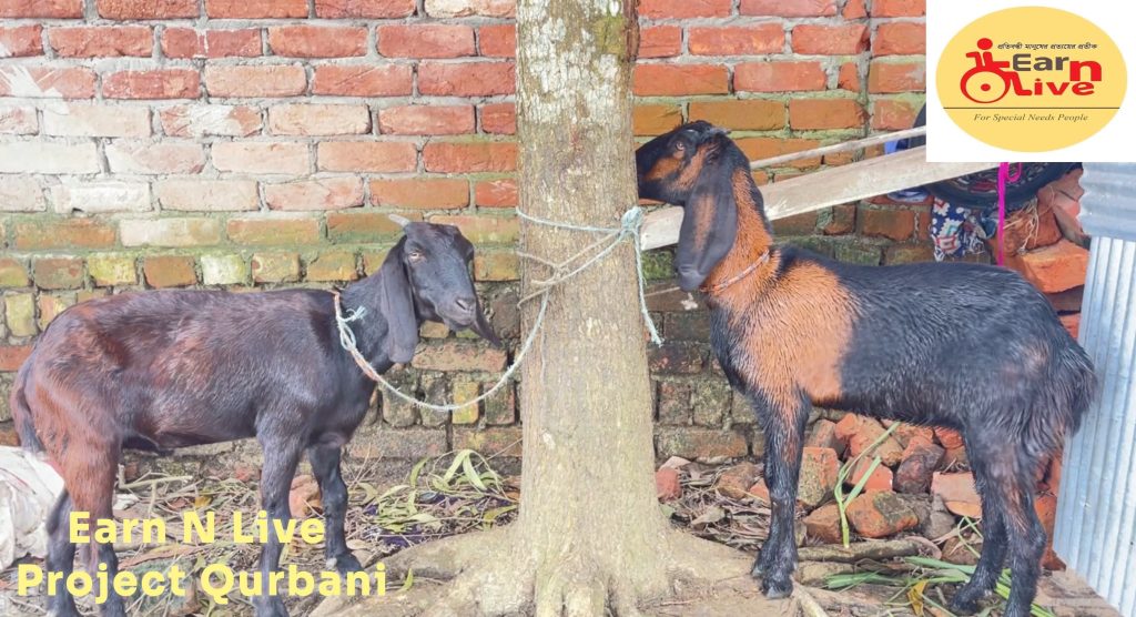 সাম্য ও সমতা ঈদুল আযহায় আর্ন এন্ড লিভের কুমিল্লায় গোশত বিতরণ