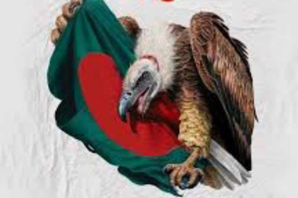 আকাঙ্খা বনাম রক্তাক্ত বাস্তবতা: এক বছরের আয়নায় ১১ জুলাই-রুদ্র নীল।