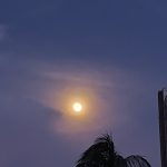 লেখিকা কাজী নাজরিন এর”লেখা কবিতা :-শরৎ পূর্ণিমায়