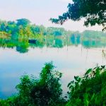 কবি ফিরোজ মোল্লা এর লেখা কবিতা :-ডাকাতিয়া নদী.