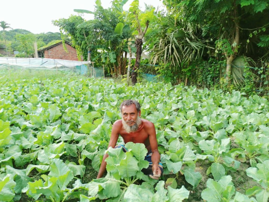 লালমনিরহাট বাজারে শীতের সবজির সরবরাহ বেড়েছে:
