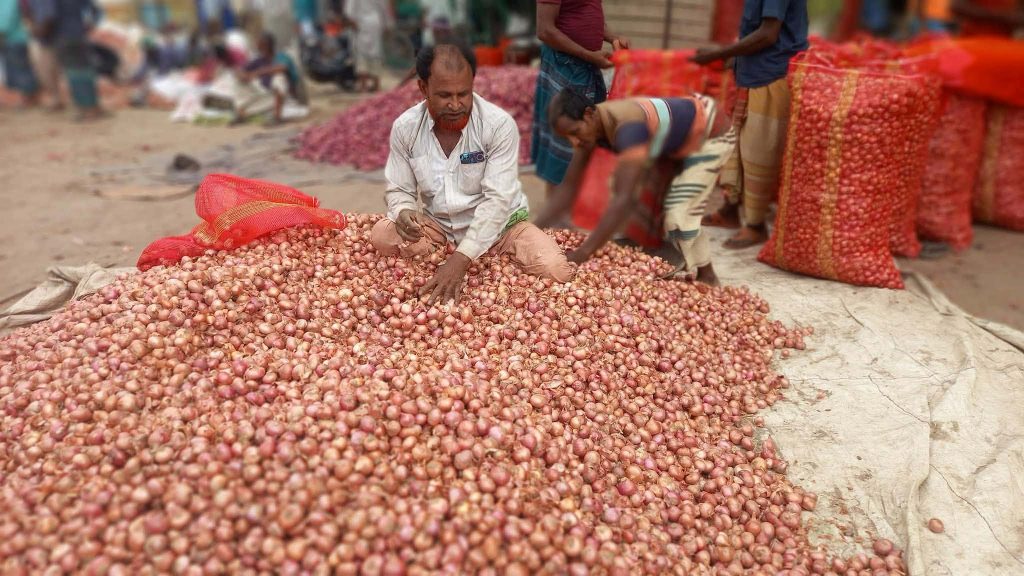 নাটোর জেলার হাট বাজার সহ সকল স্থানে পেঁয়াজের দাম ব্যাপকহারে বৃদ্ধি: